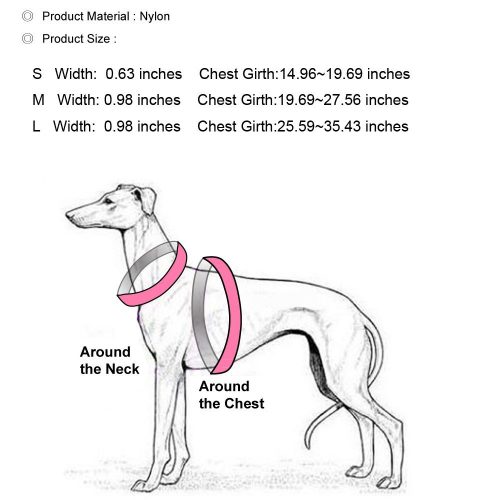 *Bundle* BORNIER Quick-Release Handle Dog Leash & No-Pull Harness