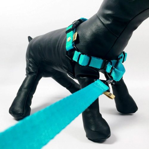 *Bundle* BORNIER Quick-Release Handle Dog Leash & No-Pull Harness