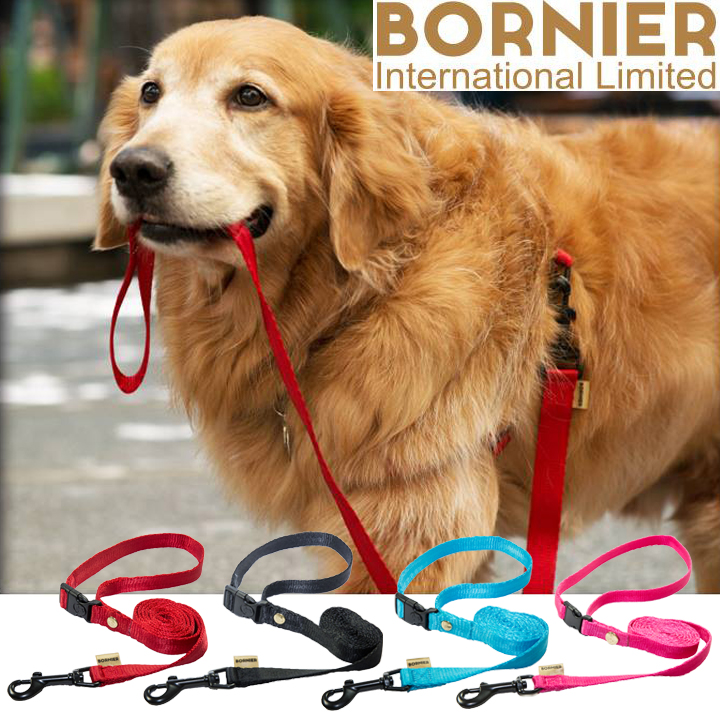BORNIER Smart Dog Smooth Walking Leash with Quick Release Buckles, 47.2'' Length